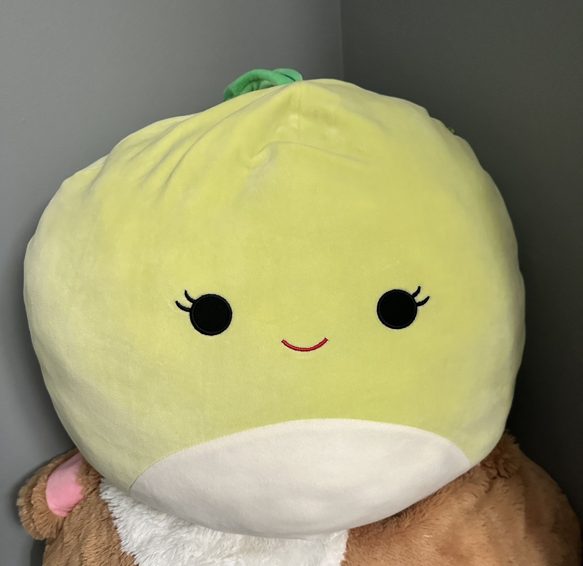Squishmallows For Sell