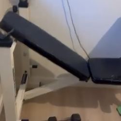 Bench Press