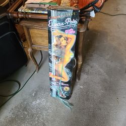 Carmen Electra Stripper Pole