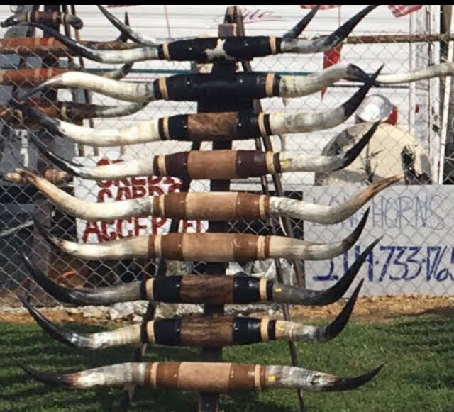 Western decor mounted longhorns, skulls, rugs read description