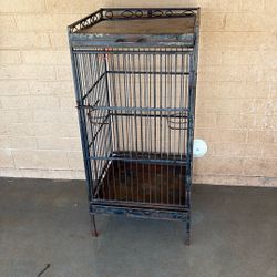 Bird Cage 