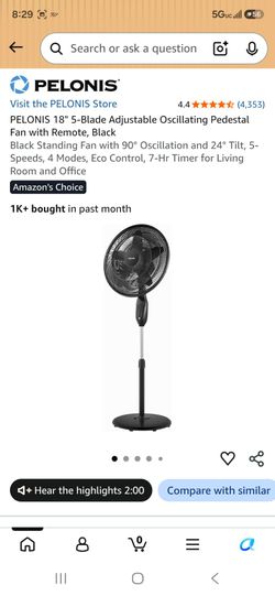 Black fan 18"