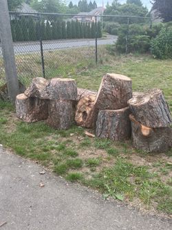 Free wood 18-24” diameter rounds