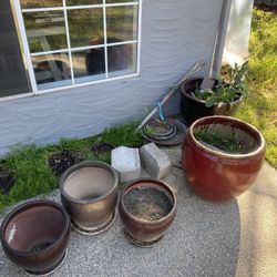 All Pot For Sale