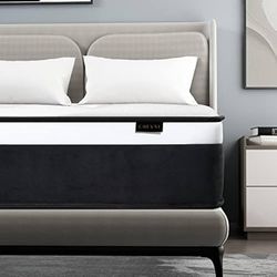 Queen Mattress,14 Inch Euro Top Queen Size Mattress in a Box,Memory Foam Hybrid Mattress with Individually Pocket Springs,Medium Firm,Strong Edge Supp