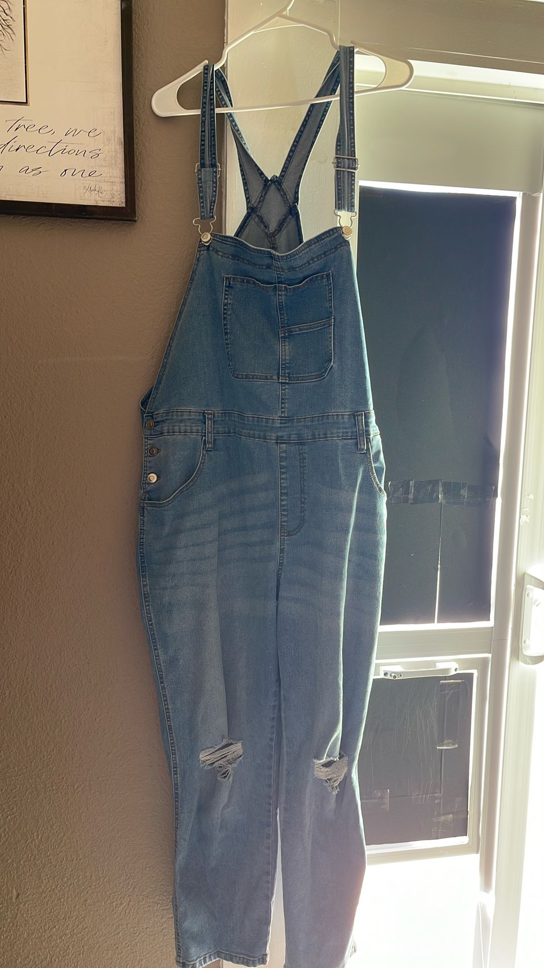 Celebrity Pink Overalls 2XL