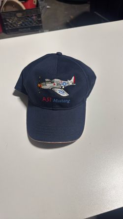 blue Born Aviation P-51 Mustang