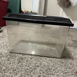 Plastic Reptile/Bug Cage