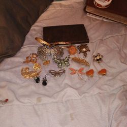 Beautiful Brooches Pins Earrings Antique Jewelry
