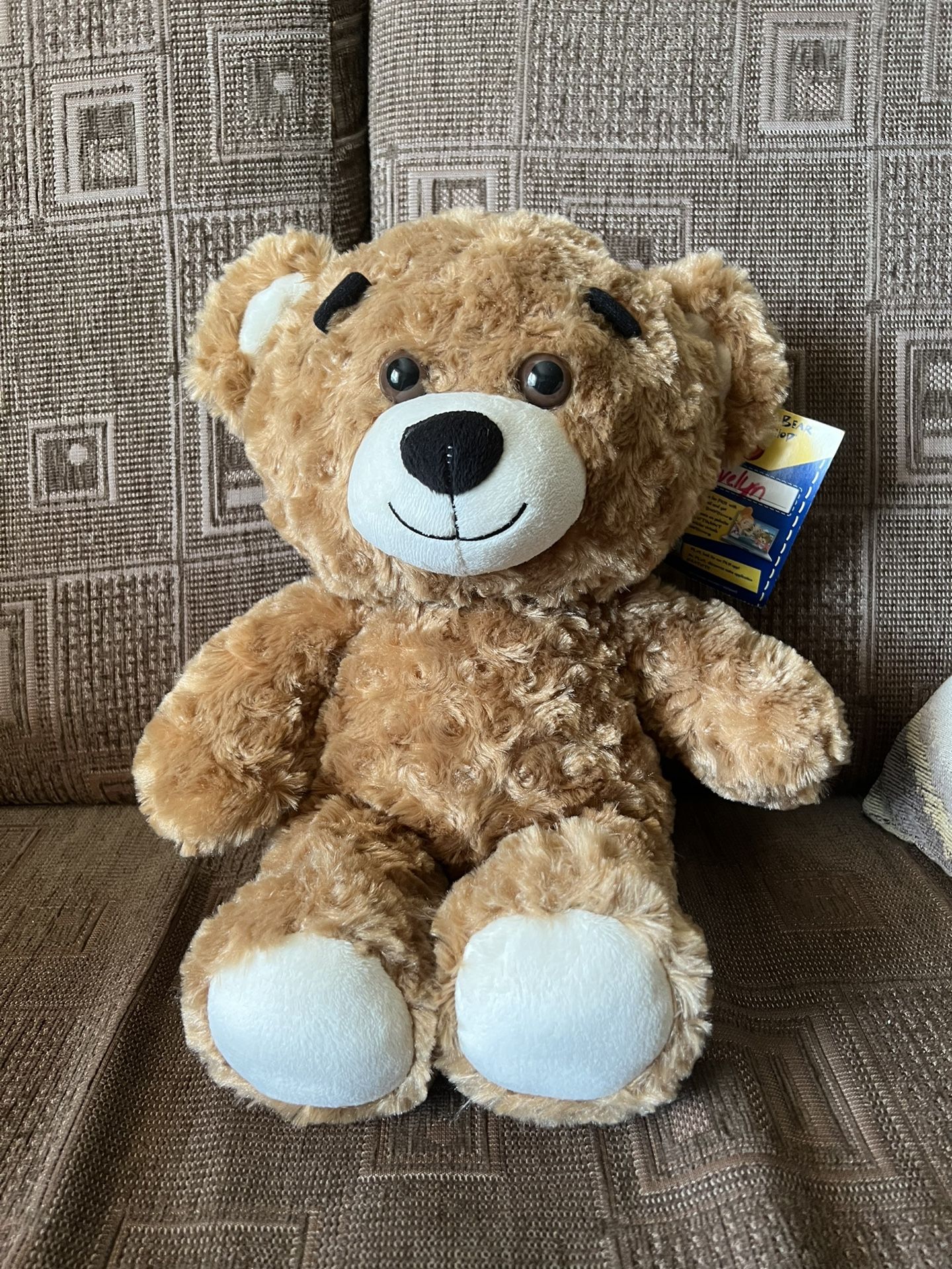 Build-A-Bear Teddy Bear