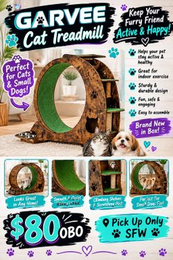 Pet treadmill