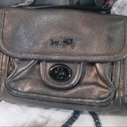 Small Coach Purse