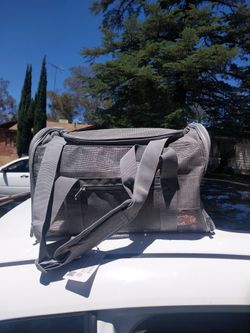 Cat Carrier