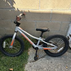 Specialized Child Bike 