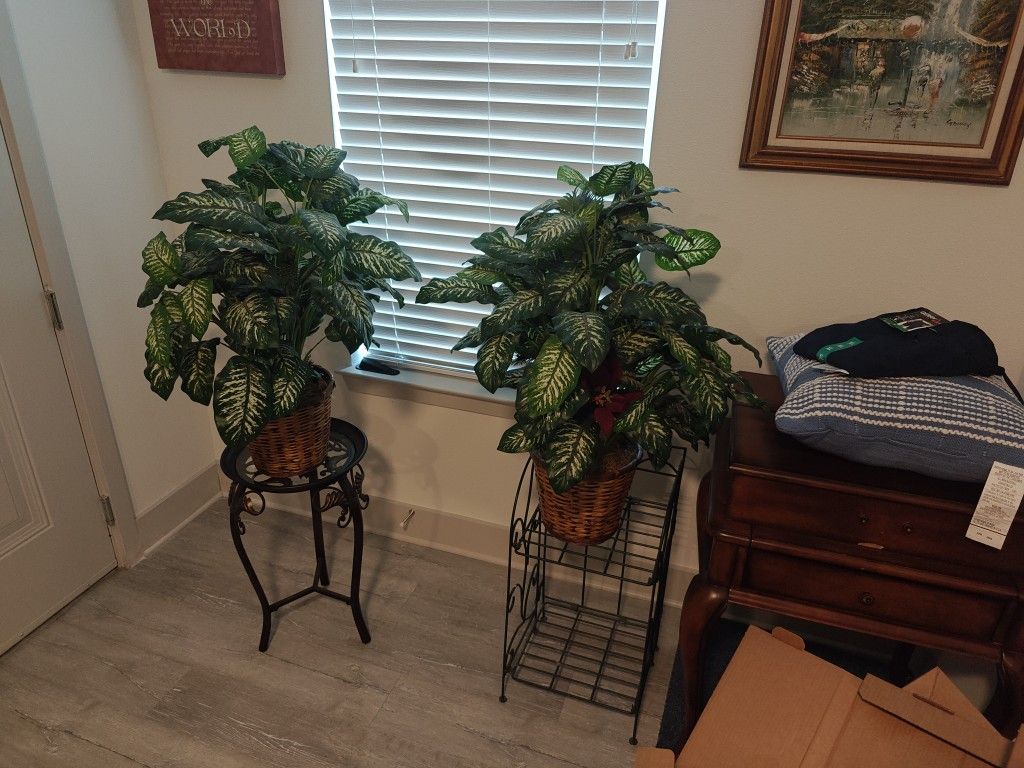 Pair Of Potted Plants
