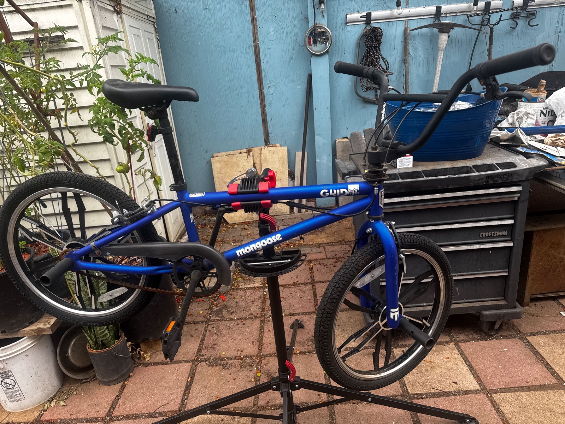 Mongoose BMX