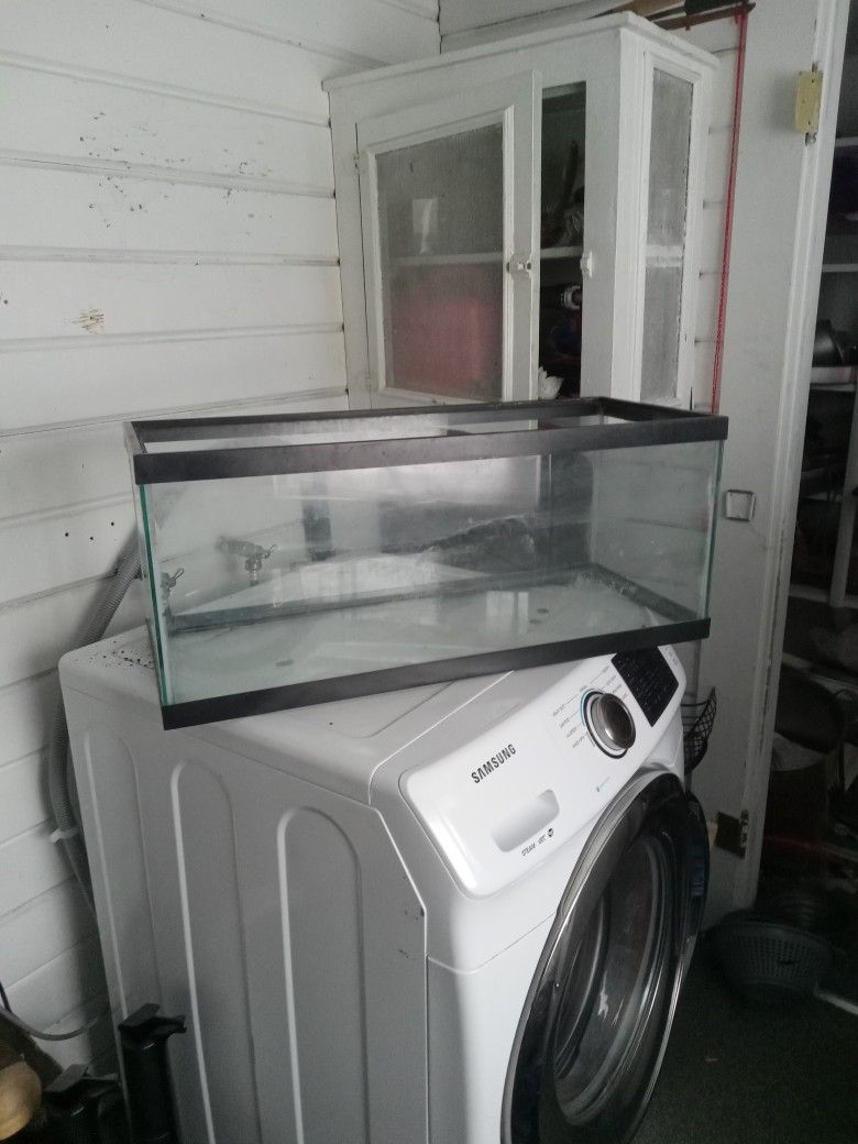20 Gallon Tank