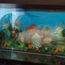 Fish Tank 55 Gallone