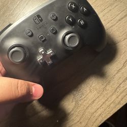 Nintendo Switch Controller 