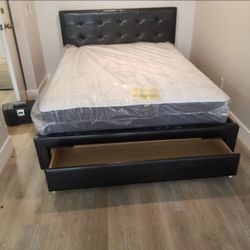 Queen Bed With Bamboo Mattress 