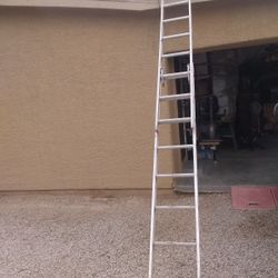 16"Ladder