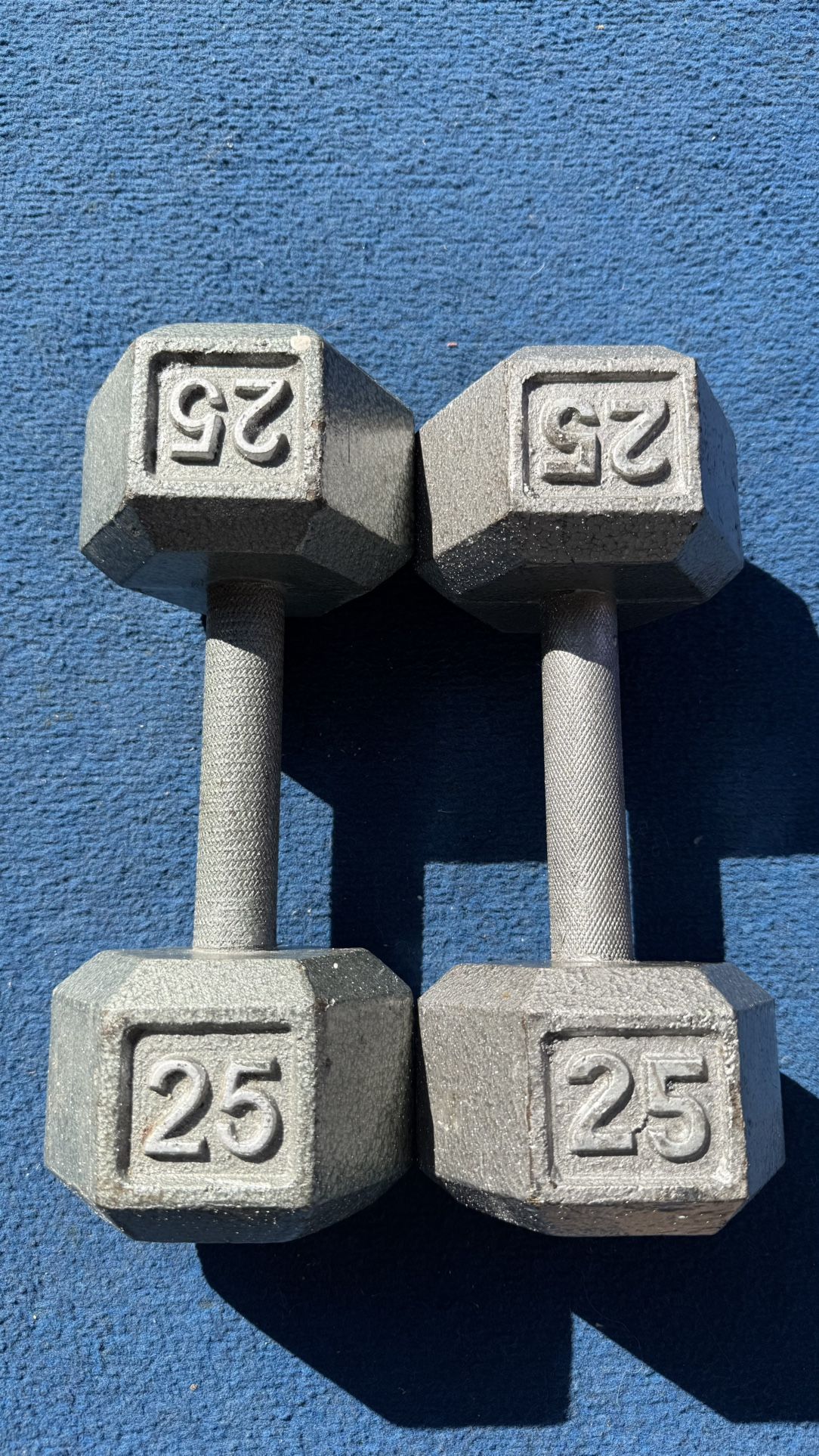 25 Pound Dumbbells 