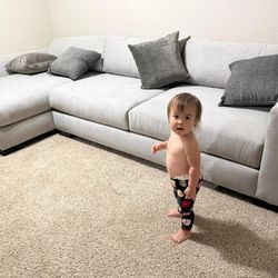 Sectional Sofa Loveseat 