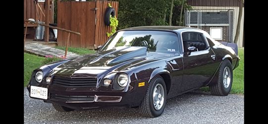 1981 Chevrolet Camaro