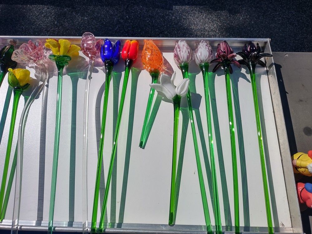 Glass Flowers