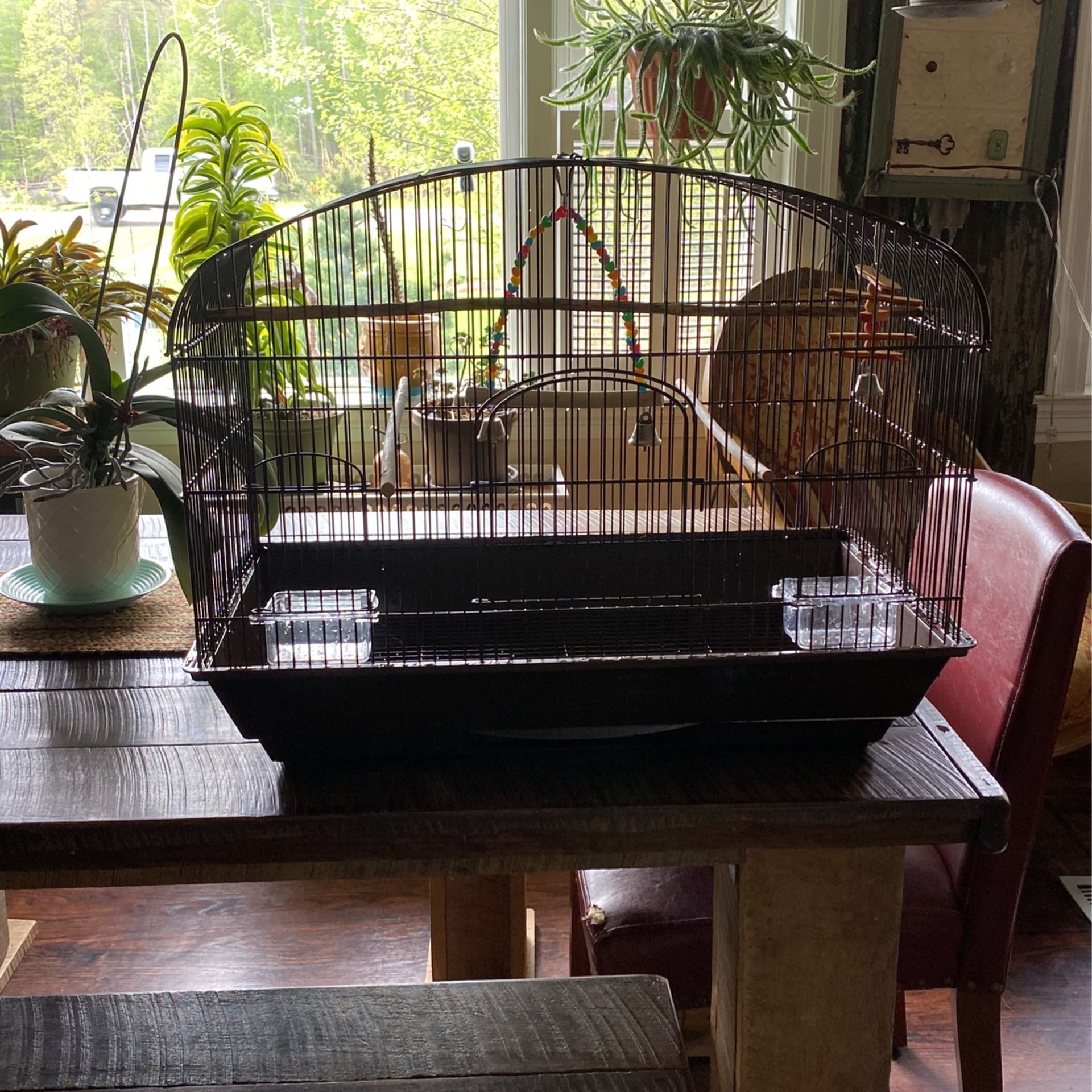 Bird cage Like new 