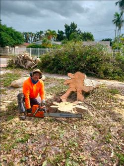 Tree & Stump REMOVER