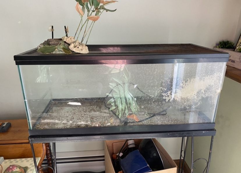 Turtle Tanks 20 Gallons