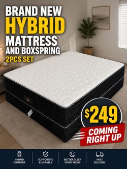 🟢NEW HYBRID SET $249