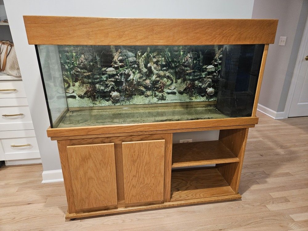 75 Gallon Aquarium With Built In Filter
