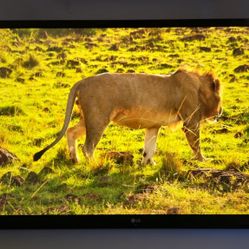 24 Inch 4K UHD IPS LED Monitor