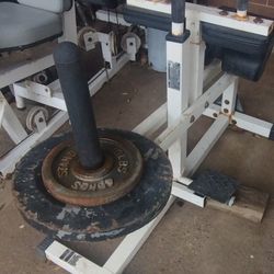 Seated Calf Raise Machine