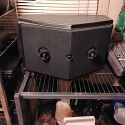 Bose Single Speaker Powerful Audio