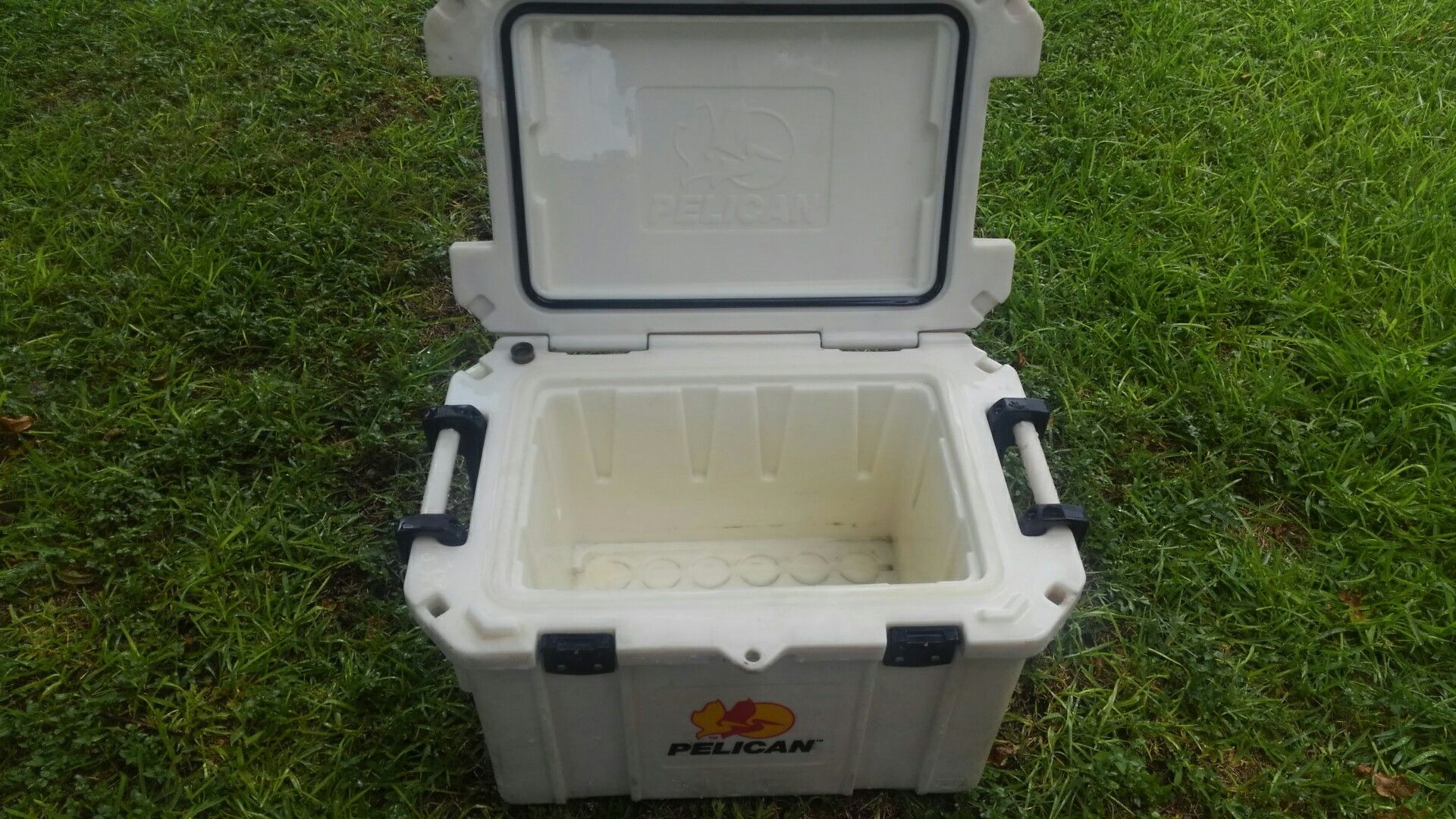 Pelican cooler