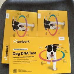 Dog DNA Test 