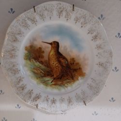 Vntage American Woodcock 8" Bird Plate
