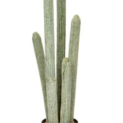 LARGE ARTIFICIAL CACTUS (29.5”H) 