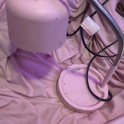 Pink desk lamp