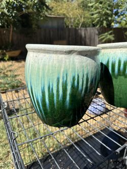 green sacate flowerpot