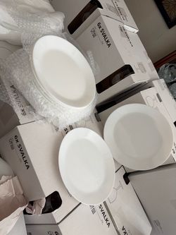 Dinner plates