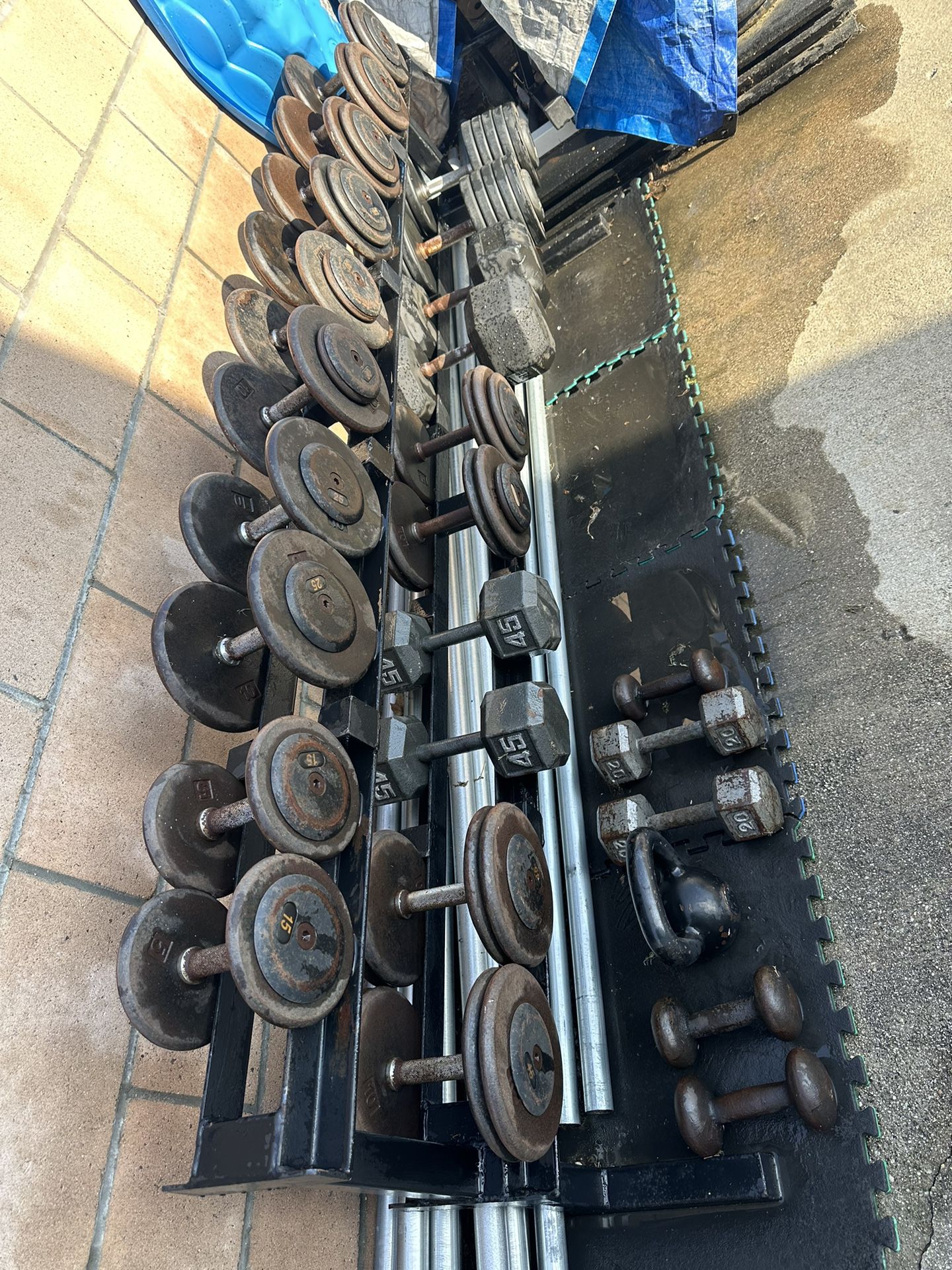 Gym/workout Equipment /Dumbbells, And Rack