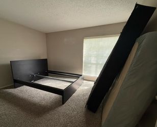 Queen frame and box