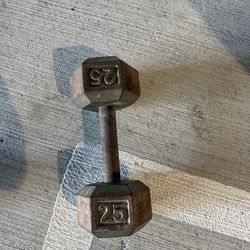 Single 25lb Metal Dumbbell