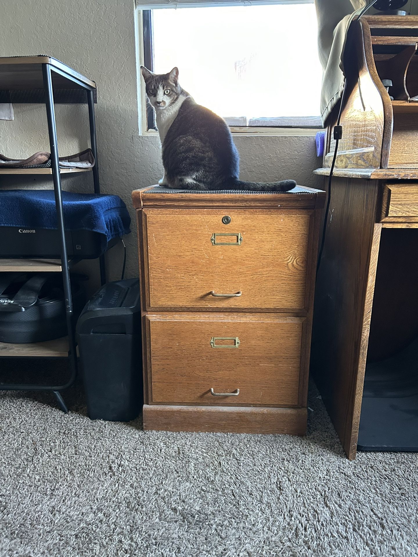 WOODEN-FILE CABINET