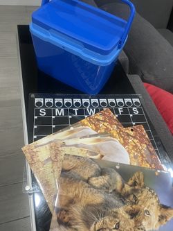 Kid Supplies 