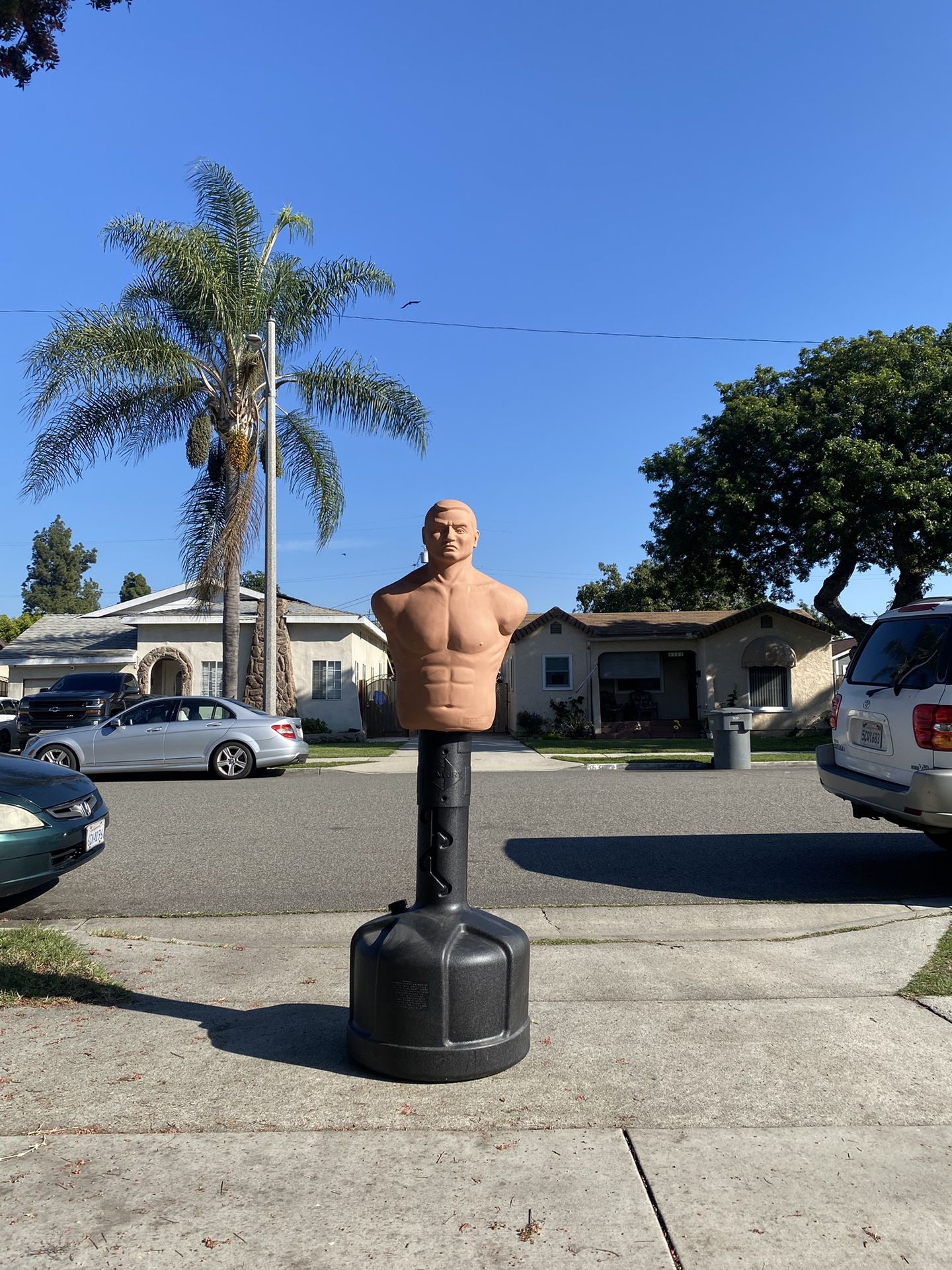 CENTURY PUNCHING BOB BAG